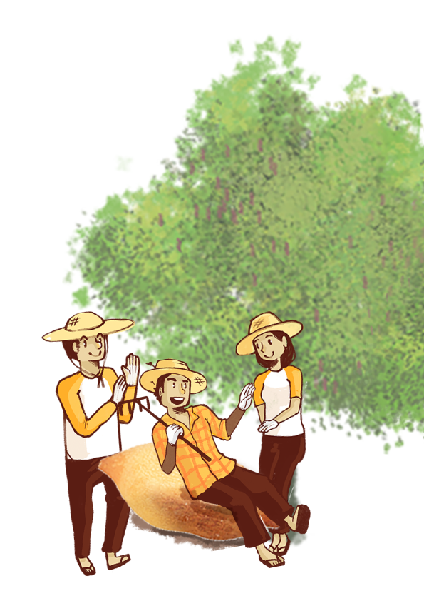 Bupha packaging illustration