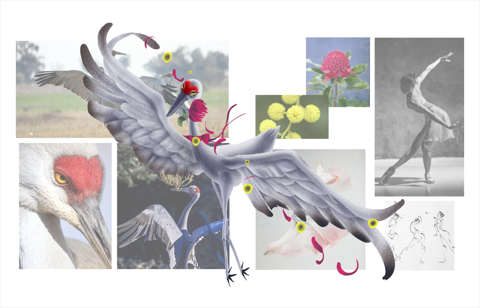 Illustration of a brolga mid-dance, representing the Inspiration Seeker personality type